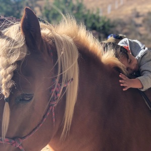 Event Home: Carousel Wishes & Valentine Kisses